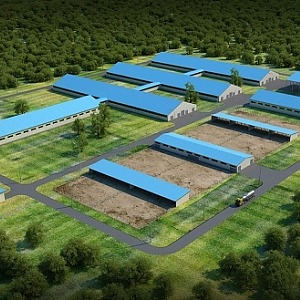 Сельскохозяйственные объекты ( ангары )